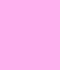 AMB Orchid fabric bolt by Cedar Valley Crafts