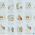 Benjamin Bunny Story Time Blue