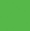 Bernartex Kelly Green