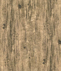 Blank Quilting Spurs & Spirits Light Brown