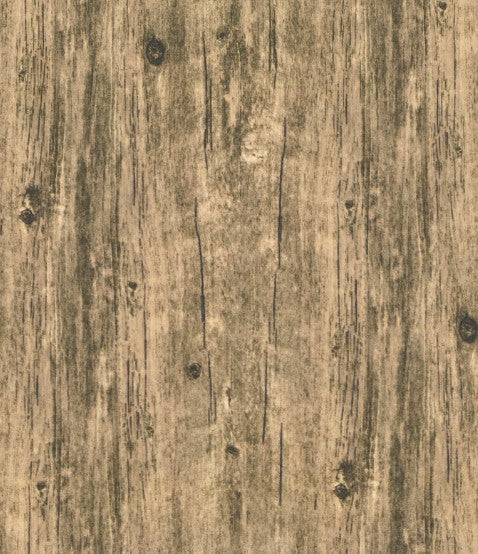 Blank Quilting Spurs & Spirits Light Brown