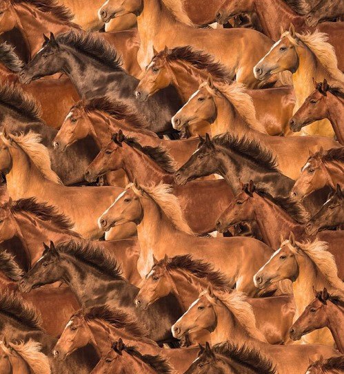 Brown Horses Spurs & Spirits fabric bolt by Blank Quilting