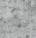 Clothworks Our World Tonal Gray