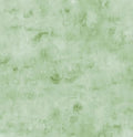 Clothworks Our World Tonal Mint