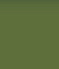 Clothworks Premium Solid Green Pepper