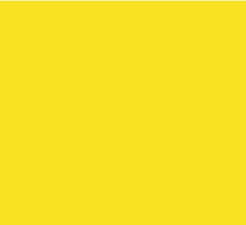 Colorworks Solid Rubber Ducky
