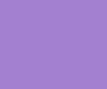 Colorworks Solids Purplewinkle