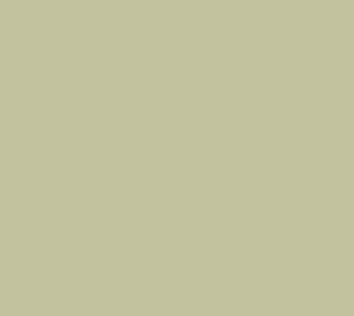 Colorworks Wasabi Solid