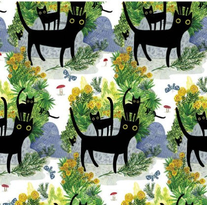Dear Stella Black Cat