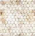 Earthly Delights Chicken Wire