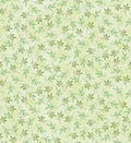 In The Beginning Daydreams Light Green Floral