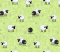 Lal The Lamb Susy Bee
