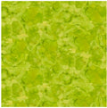 Lily Pond Olive Blender