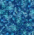 MM Aqua Murmur Water D