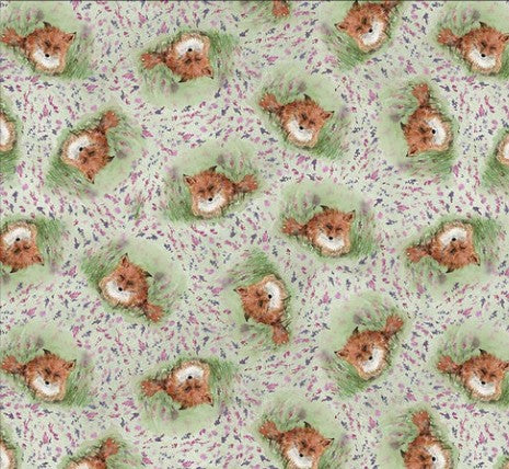 Matcha Fox And Meadow Valley View