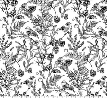 NC Natures Sketchbook White And Black