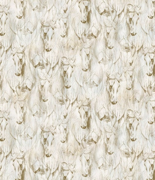 NC Shadow & Light Cream Tolle