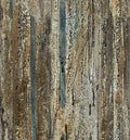 NC Shadow & Light Dark Brown Stria Texture 1