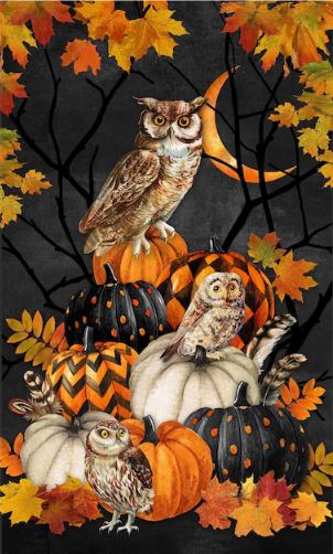 Night Owl Multi Panel