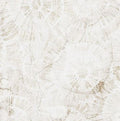 Northcott Sea Breeze Sand dollars Cream