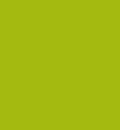 Northcott Colorworks Matcha Solid