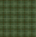 Oh My Gourd! Green Plaid