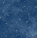 P&B Starry Sky Denim Blue