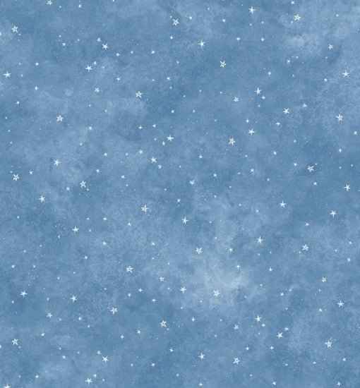 P&B Starry Sky Medium