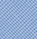 Paws At Play Blue Plaid