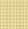 Pioneer Days Spring Meadow Plaid