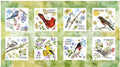 QT Drawn To Birds Green Bird Panel