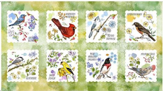 QT Drawn To Birds Green Bird Panel
