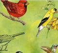 QT Drawn To Birds Green Bird Toss
