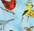 QT Drawn To Birds Light Blue Bird Toss