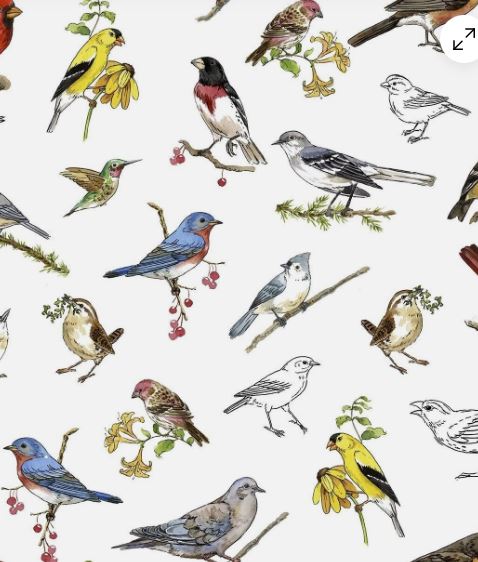 QT Drawn To Birds White Colorful Bird Toss