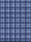 QT Season of Giving Blue Plaid