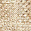 QT Earthly Delights 31332 Tan