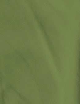 QT Shades Olive