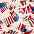 Quilting Treasures American Spirit Flag Toss