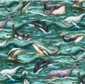 RK Ocean Fantasy Whales Lagoon