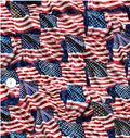 Stars Stripes and Steel