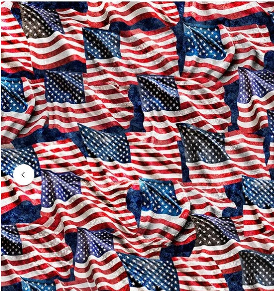 Stars Stripes and Steel