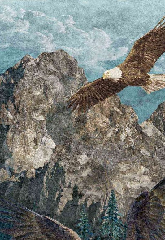Stonehenge Eagle Pass Panel