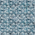 Sugar and Spice Blue Flower