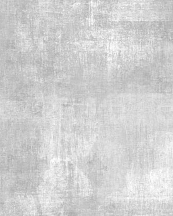 Wilmington Dry Brush 108 inch Silver Grey