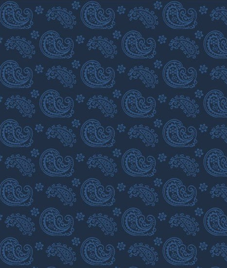Wilmington In The Navy Paisley
