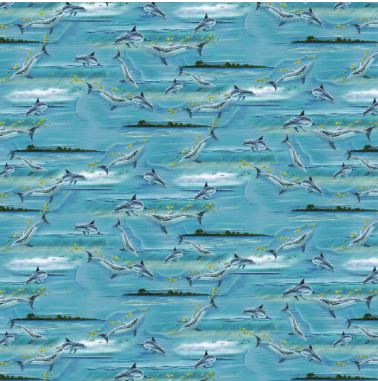 Window To Paradise Dolphins