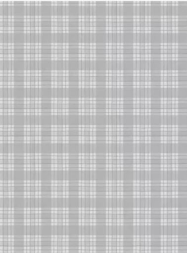 Zest For Life Gray Plaid