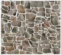 NC Bear Necessities Gray Multi