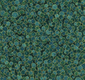 Shimmer Peacock Multi Dot